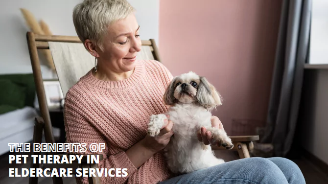 The benefits of pet therapy in eldercare services